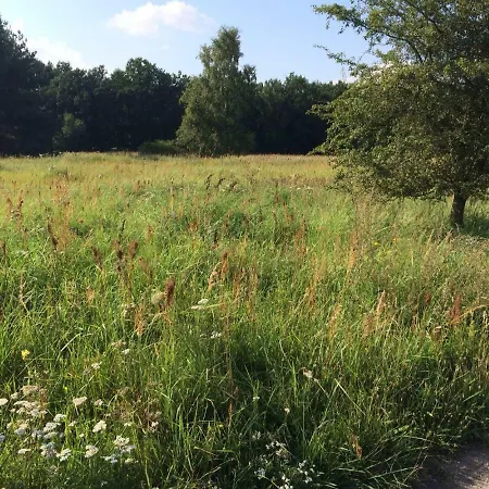 Σπίτι διακοπών Hauschen Am Waldrand,nahe Havel
